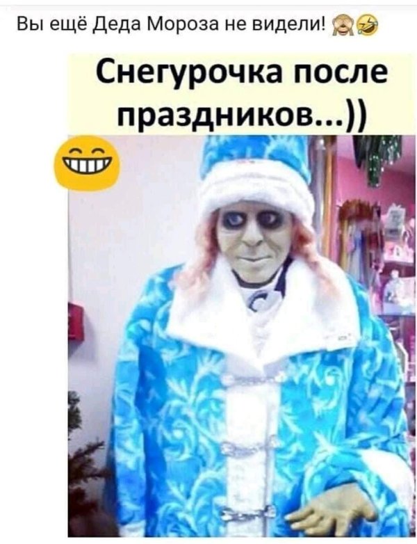 смешной костюм снегурочки