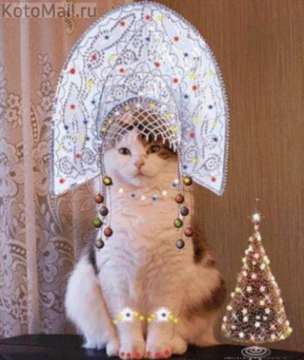 кошка в кокошнике
