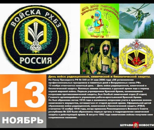 13 ноября  день войск рхбз россии