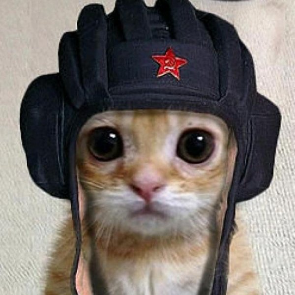 танкист иван