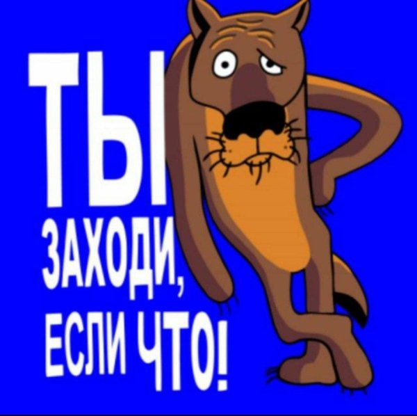 заходи если че