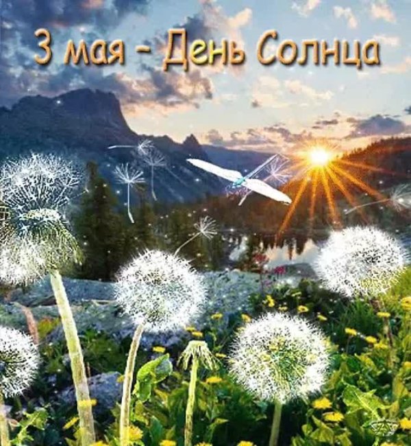 майское солнце