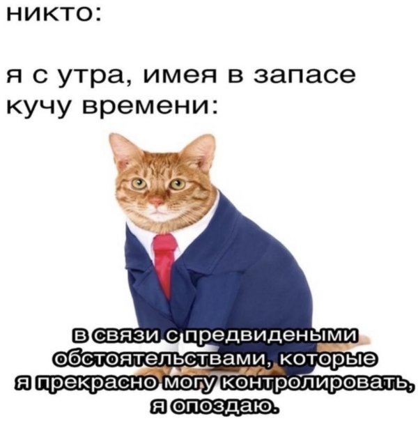 День опозданий