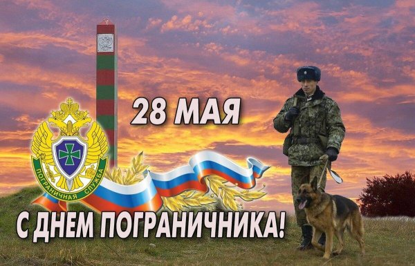 День пограничника