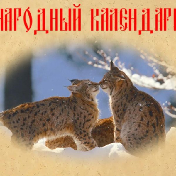 Васильев день
