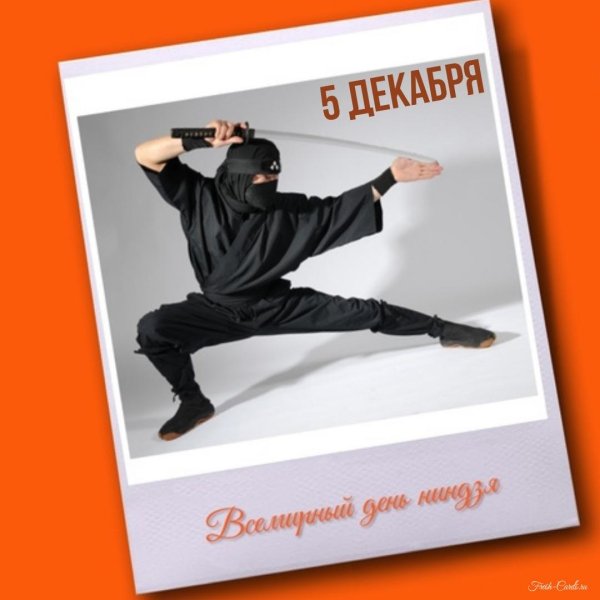 современный ниндзя