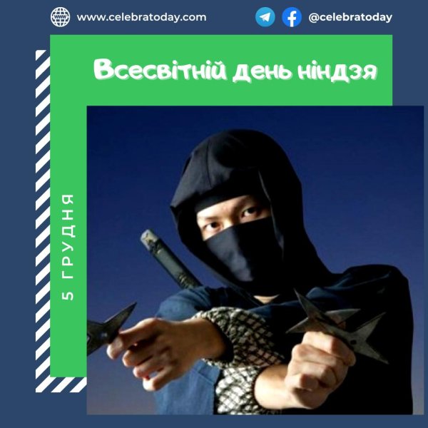 день ниндзя
