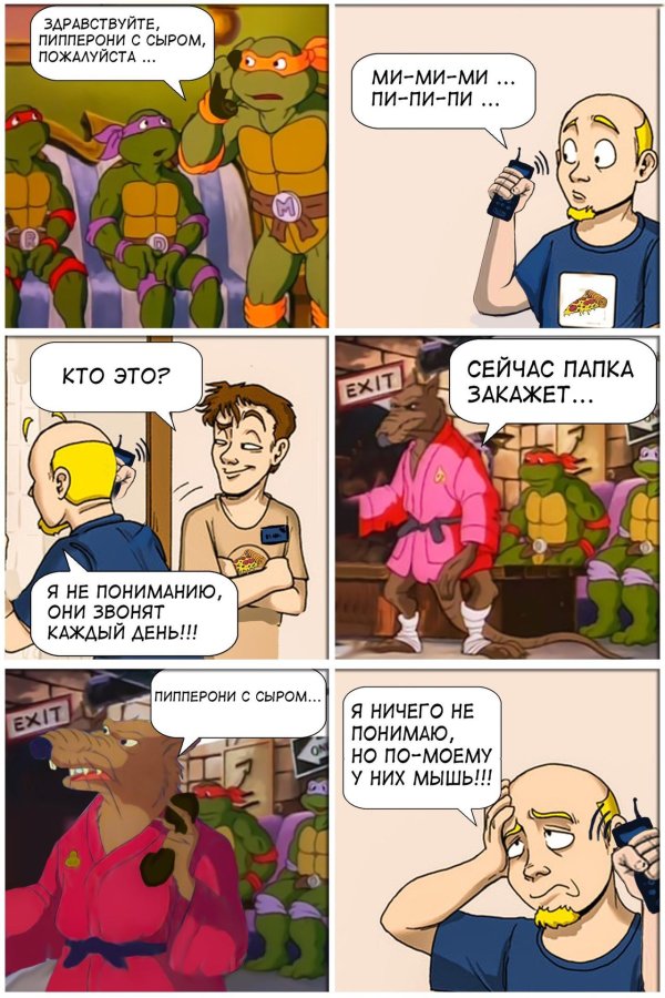 шутки про черепашек ниндзя
