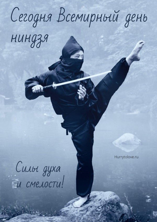 искусство ниндзя
