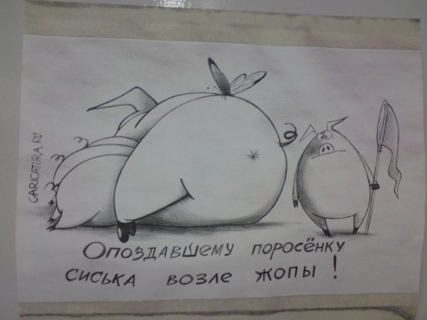 опоздавшему поросенку