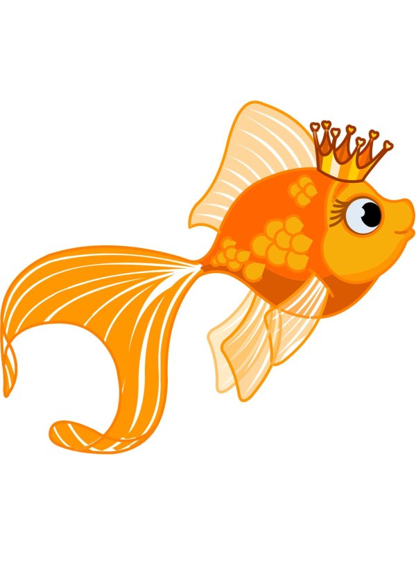 золотая рыбка