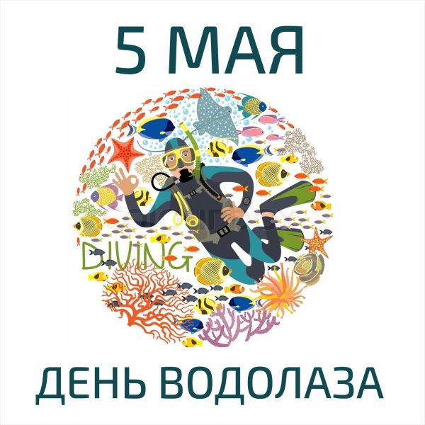 дайвер рисунок