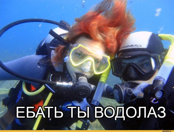 водолаз мем
