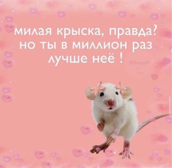 валентинки мемы