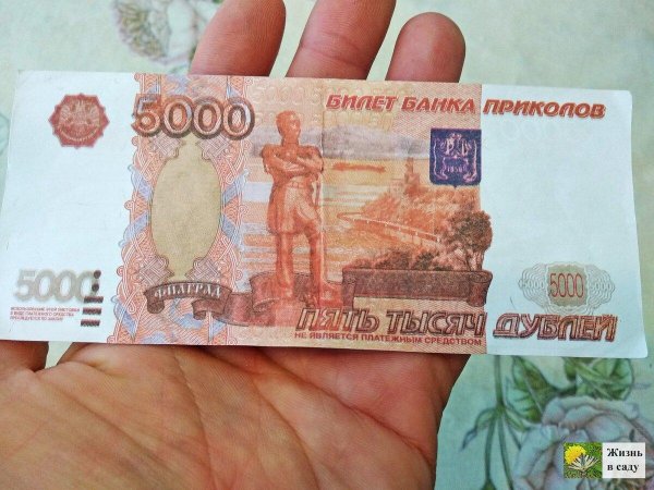 билет банка приколов