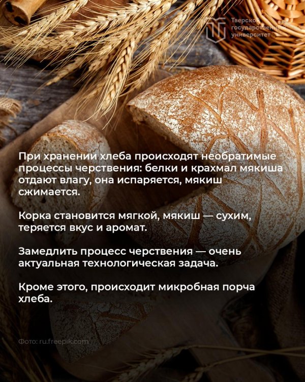 хлеб хлеб