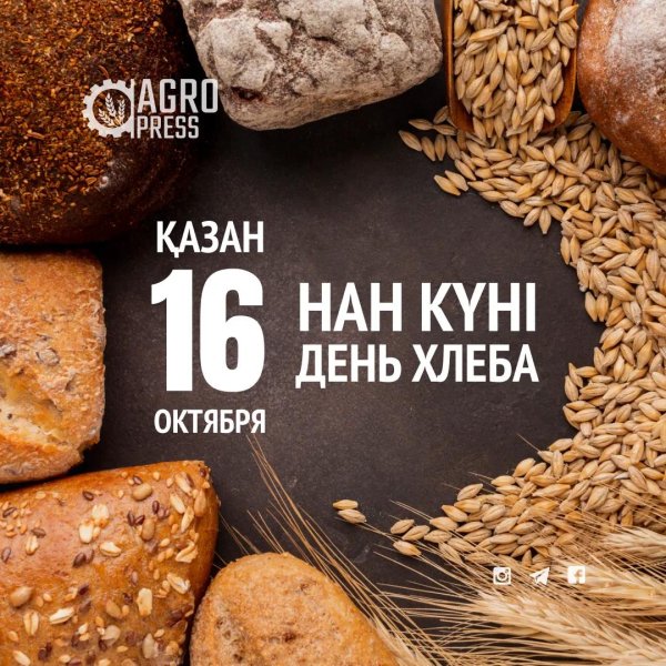 день хлеба 16 октября