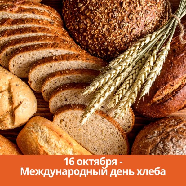 16 октября день хлеба