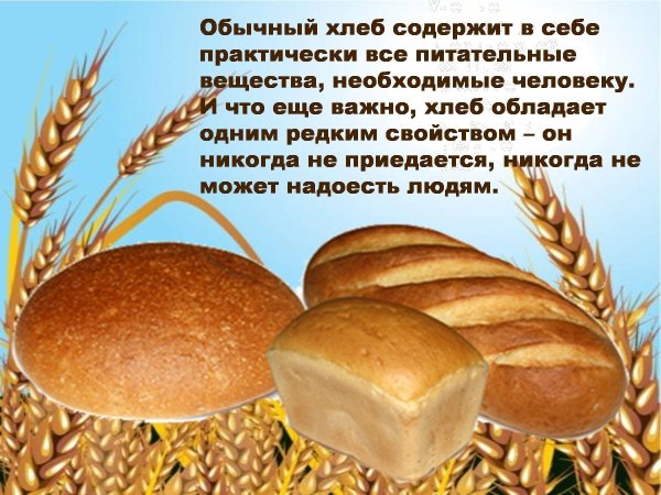 как появился хлеб
