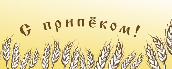 колос пшеница