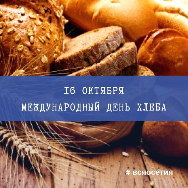 16 октября день хлеба