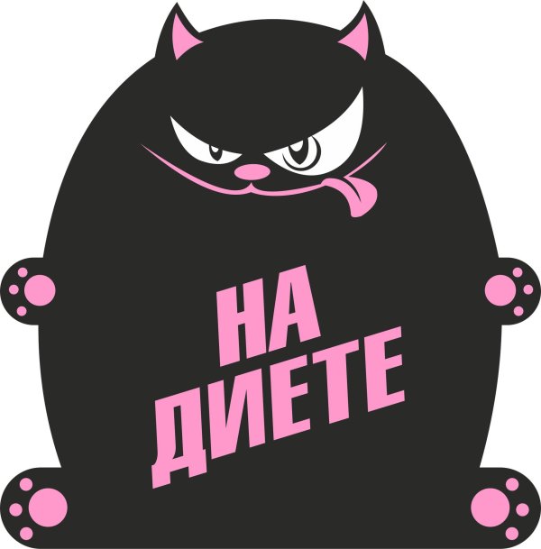 кот на диете
