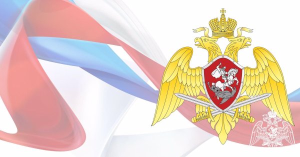 федеральная служба войск национальной гвардии рф