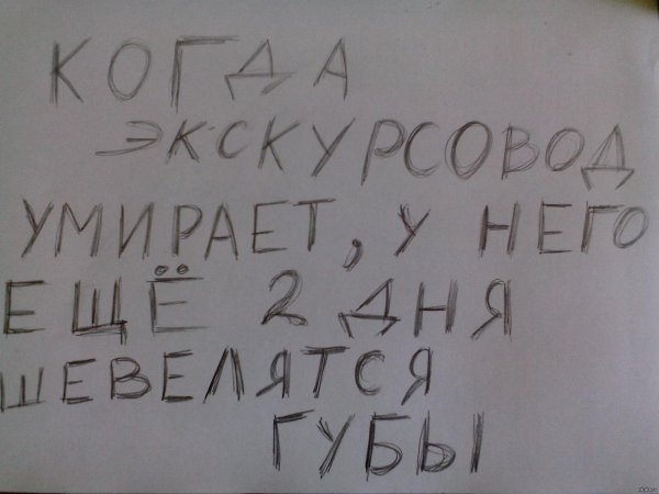 веселые надписи