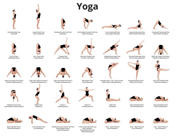 хатхайога комплекс асан