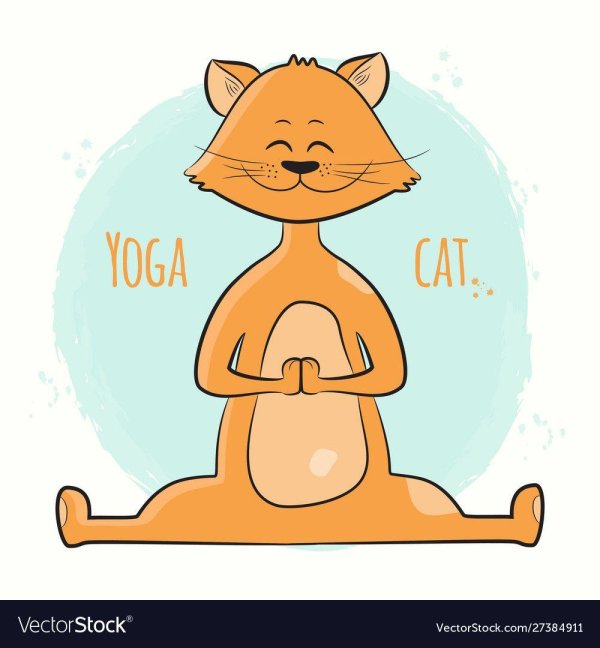 yoga cat vector