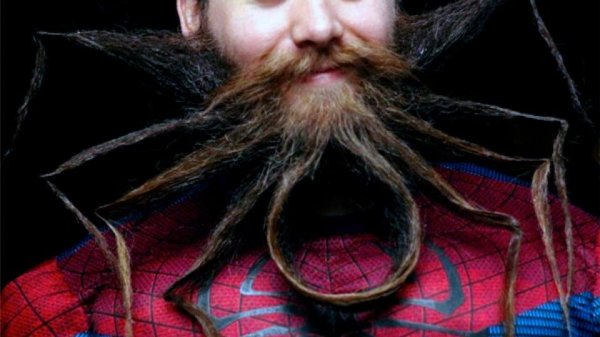 лохматый дядя