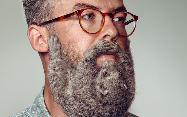 бородатые мужчины