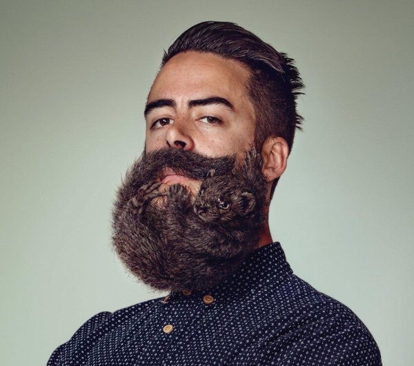 бородатые мужчины