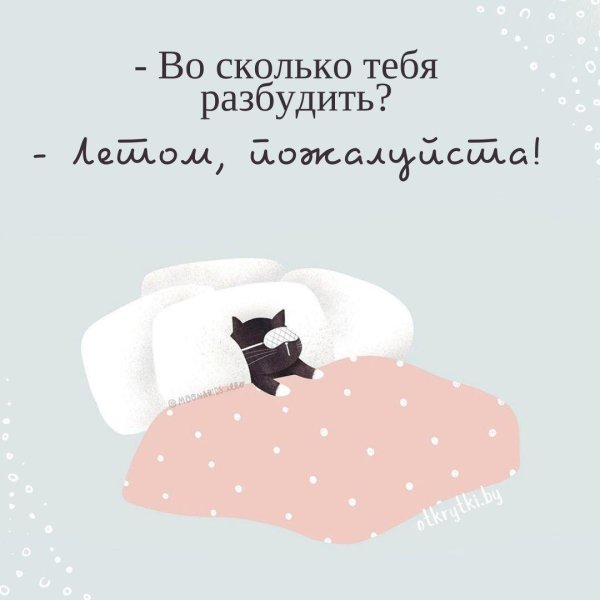 иллюстрация кошка