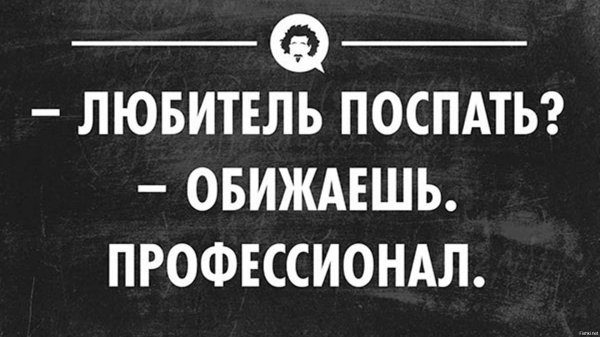 любитель поспать обижаешь профессионал