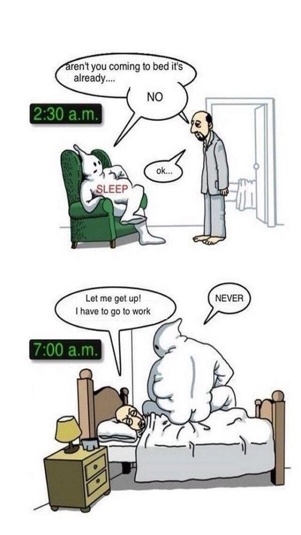 привидения приколы