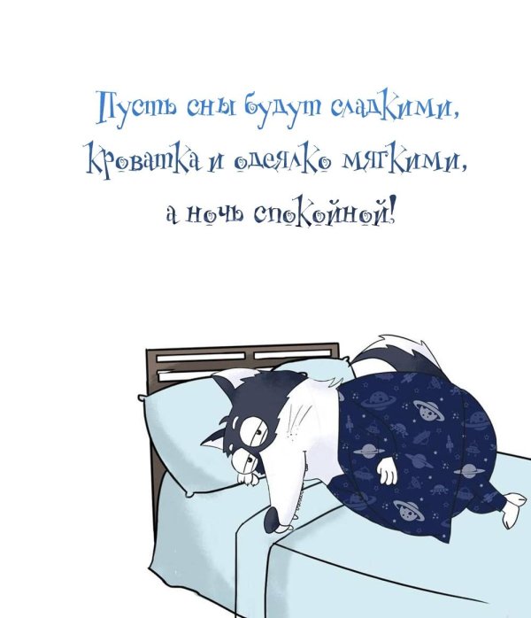 пожелания на ночь прикольные