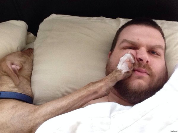 сонные люди