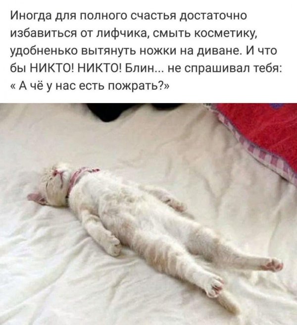 воскресенье утро приколы