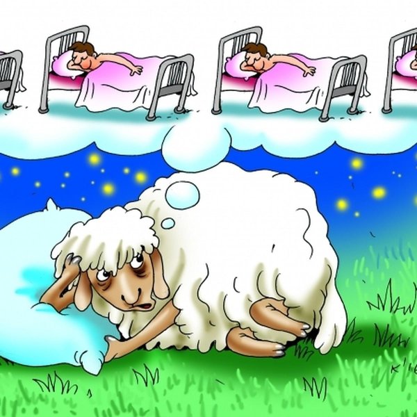 считать овец