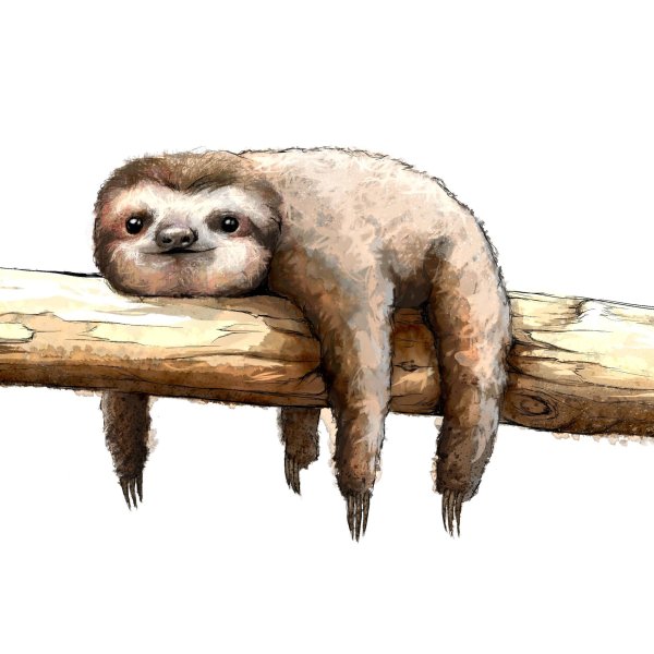 животное ленивец