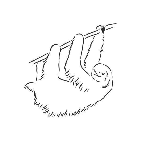 раскраска ленивец