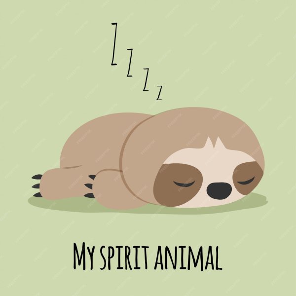 ленивец лежит