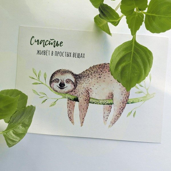 открытка ленивец