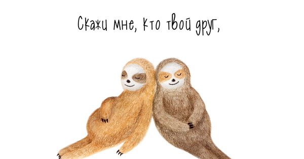 милые ленивцы