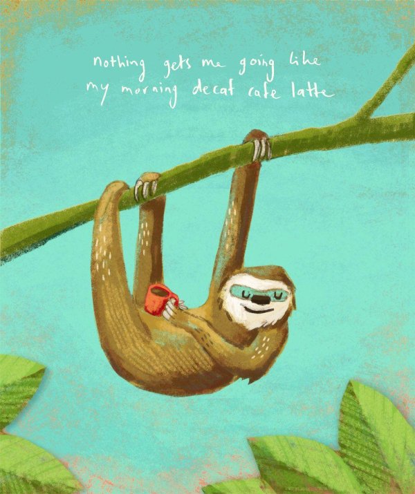 ленивец милый