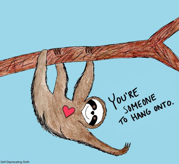 ленивец милый