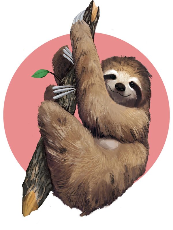 ленивец мультяшный