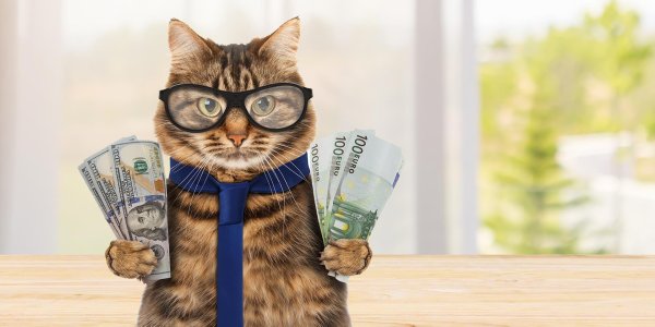 денежный котик