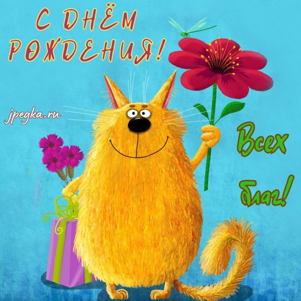 яркие позитивные картины